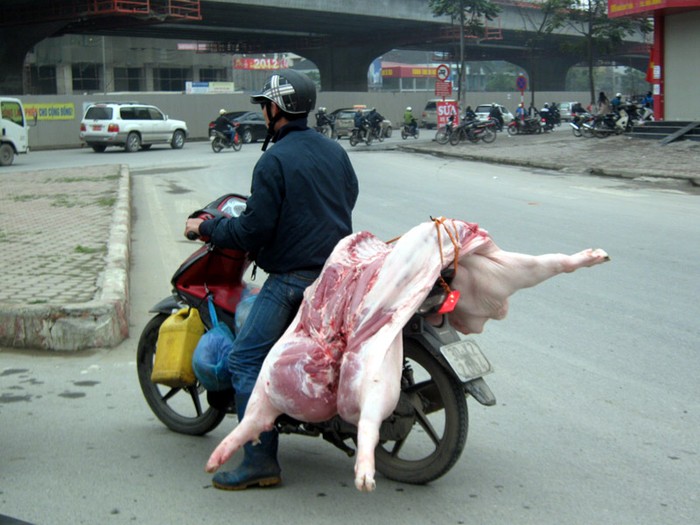 Thay vì được che chắn cẩn thận, những chú lợn được đưa từ lò mổ ở ngoại thành Hà Nội vào trung tâm thoải mái phơi trên phố như thế này.
